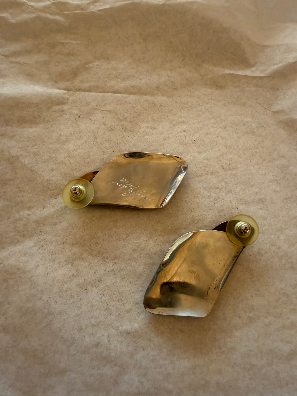 Dual Tone Earrings