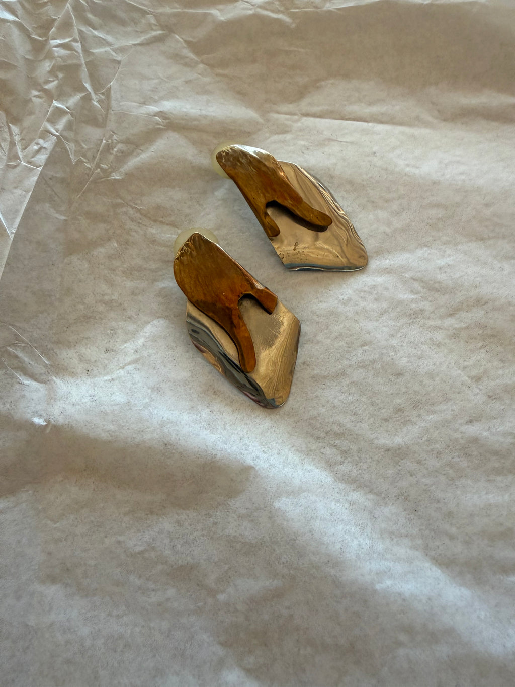 Dual Tone Earrings